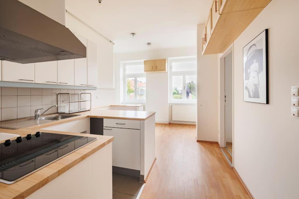 Beautiful 1 Bedroom Apartment Near Schoenbrunn Wien Ngoại thất bức ảnh